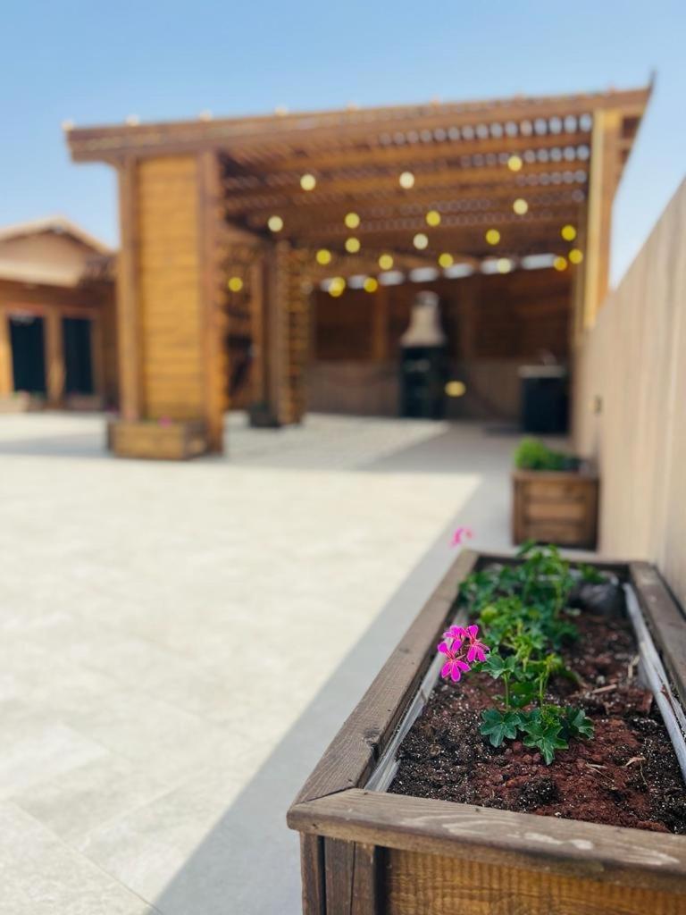 Grand Golan Villa Buq'ata Ngoại thất bức ảnh